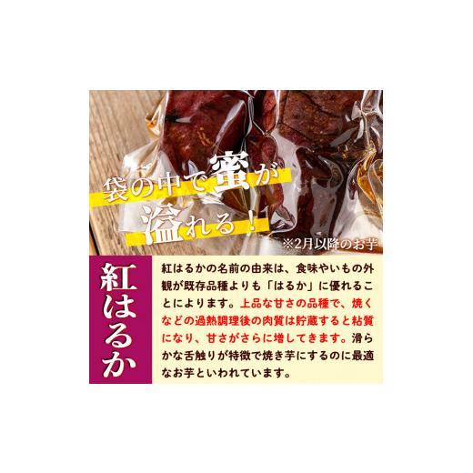 ふるさと納税 鹿児島県 伊佐市 isa328 ＜予約受付中！2024年2月発送分(2月中に発送)＞ふみおじいちゃんのやきいも(紅はるか・計1.3kg)