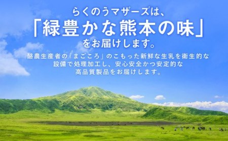 大阿蘇牛乳 計144本 1ケース（250ml×24本）×6回 生乳100% ミルク 成分無調整牛乳