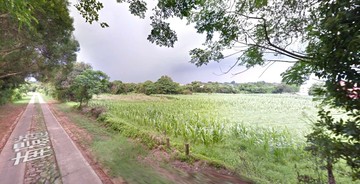 小金門南環道美地｜金門縣烈嶼鄉楊厝測段