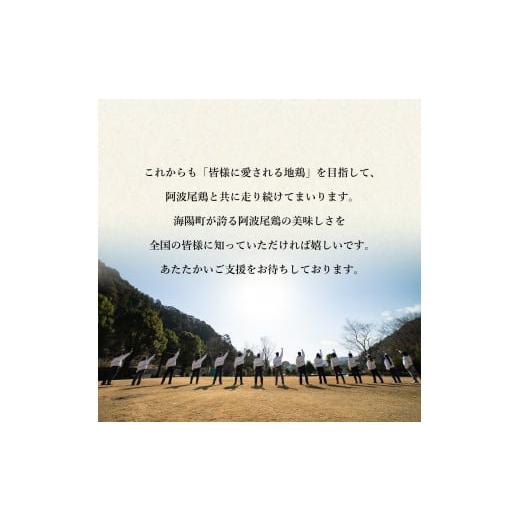 ふるさと納税 徳島県 海陽町 大人気 阿波尾鶏もも肉 ２ｋｇセット 鶏肉 鶏もも 阿波尾鶏 合計約2kg 地鶏 切り身 500g×2パック 正肉 500g×2パック 冷凍 徳島 …