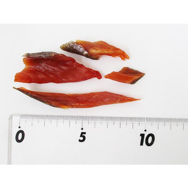 北海道産 ”鮭とば” 訳あり 約1kg カットサーモン 鮭ジャーキー 送料無料