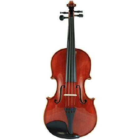 D'Luca CA400VA-16.5 16.5-Inch Orchestral Series Handmade Viola Outfit