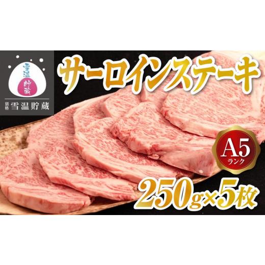 ふるさと納税 新潟県 南魚沼市 A5サーロインステーキ 5枚