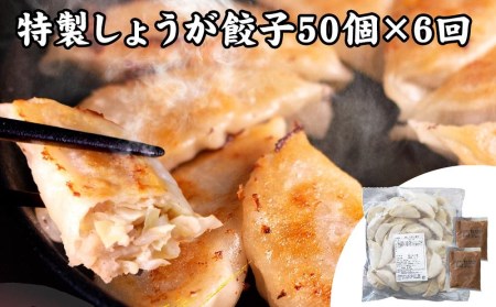 神戸名物 味噌だれ餃子2種／計100個（50個×2パック） ×6回