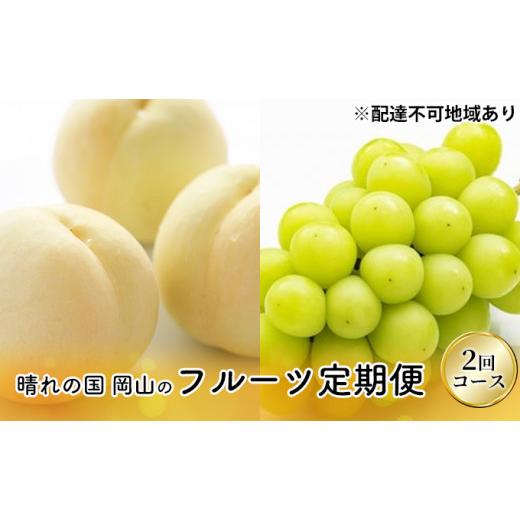 ふるさと納税 岡山県 岡山市 フルーツ 2024年 先行予約 晴れの国 岡山 の フルーツ 定期便 2回コース 桃 ぶどう 岡山県産 国産 フルーツ 果物 ギフト [No.5220…