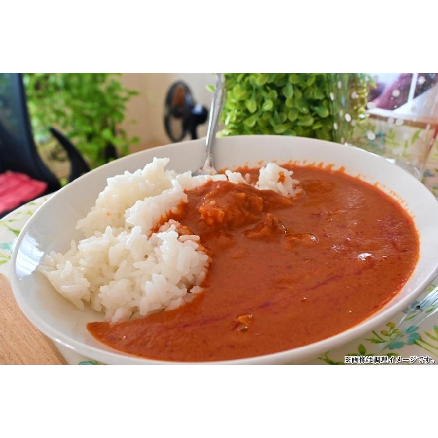 タイ風グリーンカレー　＆　バターチキンカレー　会員価格500円　コンビセット　2人前　本格派　レトルト　お取り寄せ　メール便商品　お試しグルメギフト