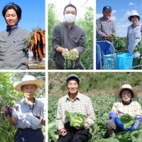  産地直送 ！ 旬 の 産直 野菜 セット 詰め合わせ  BOX 新鮮 詰合せ つめあわせ 直送 茨城 茨城県 おまかせ [CN001ya]