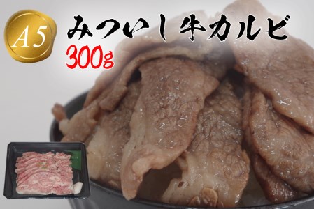 北海道産 黒毛和牛 みついし牛 A5 カルビ 300g