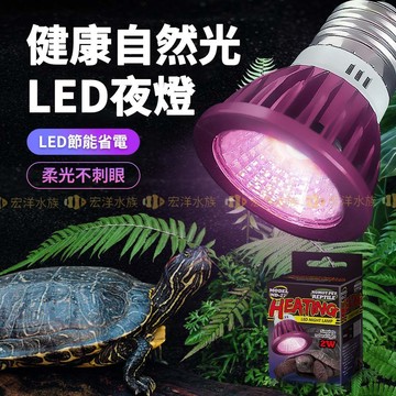 宏洋水族【💡LED爬寵曬背燈炮】夜燈-自然紫月光〞爬寵燈泡 曬背燈泡 爬蟲燈 兩棲 守宮 變色龍 蛇 蜥蜴 陸龜 曬背燈