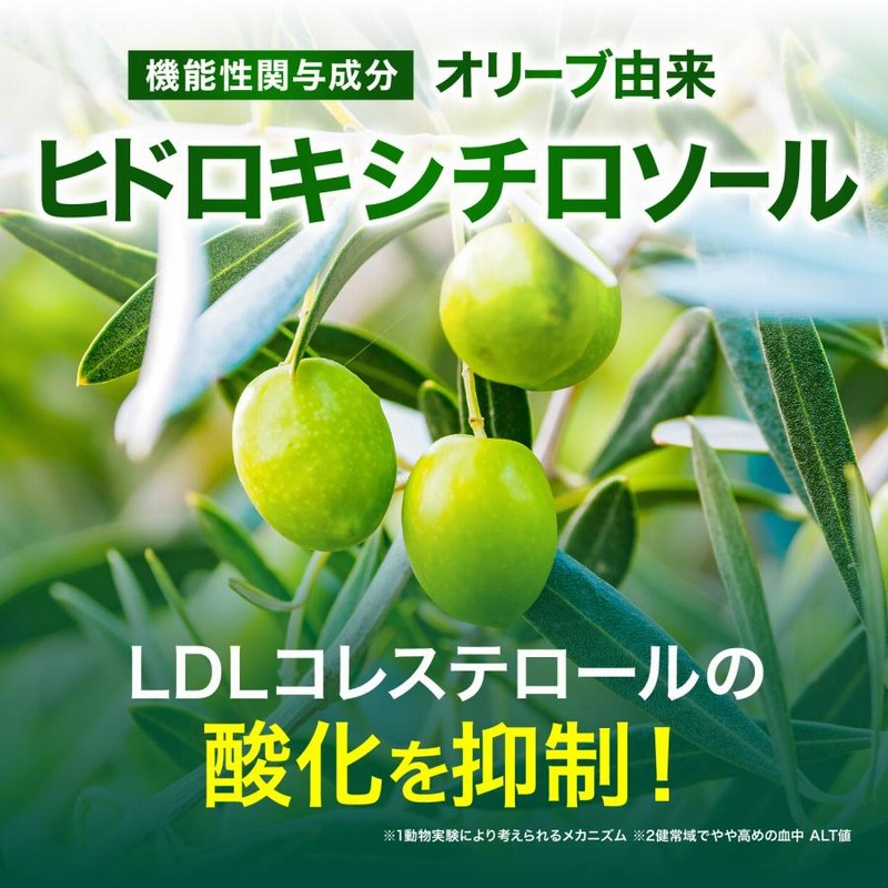 漢方セレクト 和漢の森 オリーブ ギャバ 60粒 漢方セレクト 和漢の森