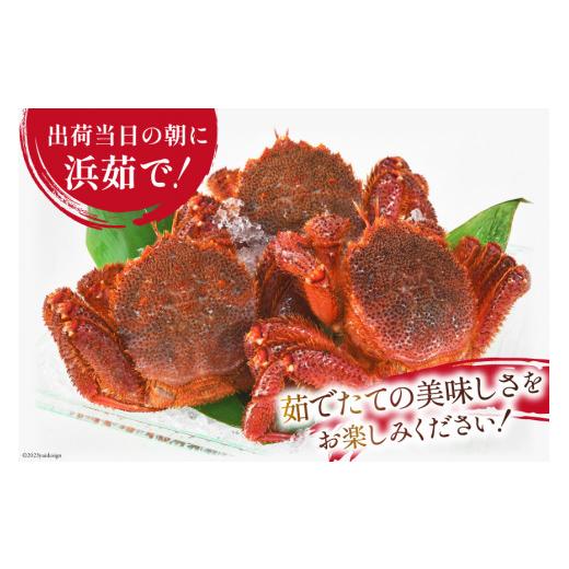 ふるさと納税 宮城県 気仙沼市 ＜先行予約＞かに 三陸産浜ゆで毛ガニ 約500g×3 計1.5kg  [村東商店 宮城県 気仙沼市 20562141] 冷蔵 カニ 毛がに 魚介 海鮮 …