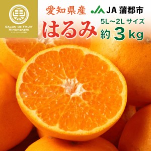 [予約 1月25日-2月28日の納品] はるみ 約3kg 5L-2Lサイズ 大玉 愛知県産 果実専用箱 JA蒲郡市 はるみみかん ハルミ 果実 フルーツ 高糖