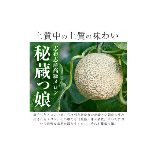 ふるさと納税 鹿児島県 志布志市 b5-089 数量限定！食べるタイミングがわかるメロン「秘蔵っ娘」赤玉(赤肉)2個