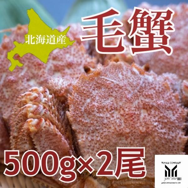 毛蟹500g前後×2尾 北海道産毛がに　旬の毛ガニ