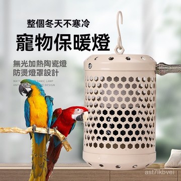 🔥鸚鵡保暖🔥鸚鵡保溫燈 鳥籠加熱暖墊 鸚鵡加熱站桿 鸚鵡專用風暖燈 陶瓷保暖燈 取暖神器 模擬陽光燈鸚鵡保溫貓咪取暖器自