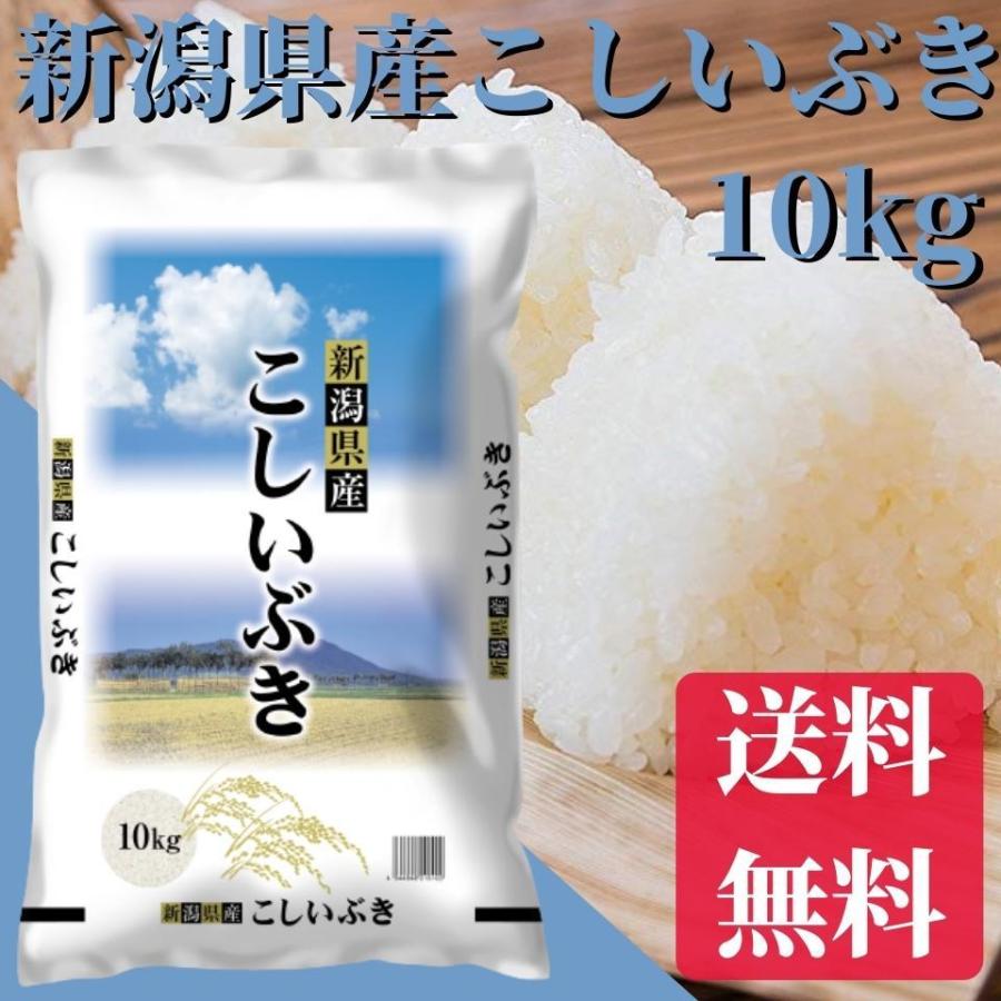 新米 令和5年 お米 10kg 送料無料 新潟県産こしいぶき 10kg 送料無料 米 お米 白米 新潟から産直販売 お祝い ギフト