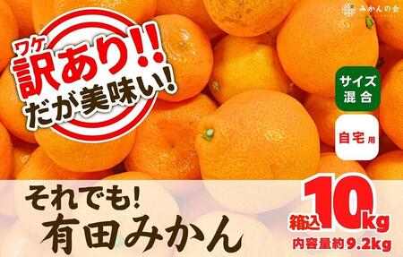 訳あり それでも 有田みかん 箱込 10kg (内容量約 9.2kg) B品 サイズミックス 和歌山県産 