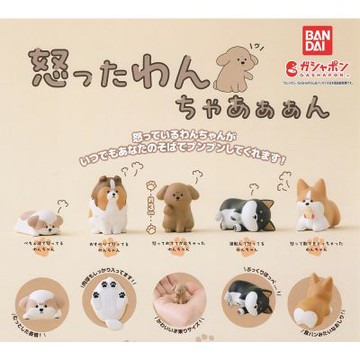 全套5款 日本正版 生氣小狗公仔 扭蛋 轉蛋 生氣的狗 憤怒的狗 動物模型 BANDAI 萬代 - 745935