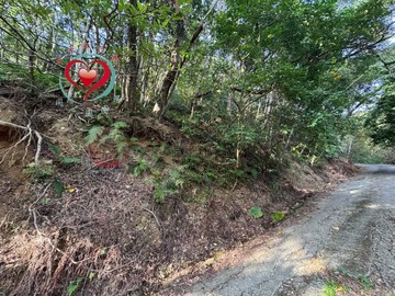 三峽臨路低總價697林地⎮太平洋同心圓黃弘林｜新北市三峽區白雞段烏才頭小段