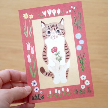 明信片 繪本裡的貓 #8 虎斑白貓