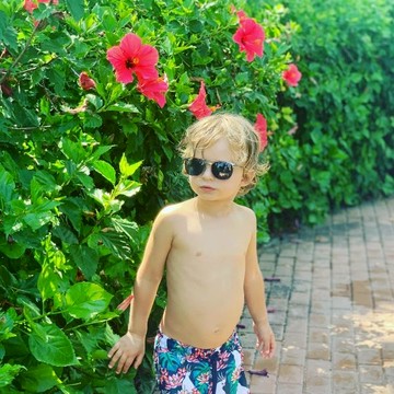 英國｜Sunuva 鸚鵡雨林男童海灘泳褲 學齡前 - 3~4歲