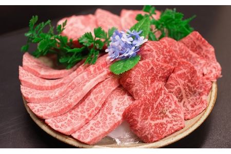 京都肉焼肉・BBQ用（バラ・モモ 肩）700ｇ