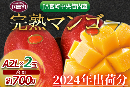 予約受付！数量限定！＜宮崎県産 完熟マンゴー A等級 2Lサイズ×2玉（合計約700g）＞2024年4月下旬～6月末迄に順次出荷