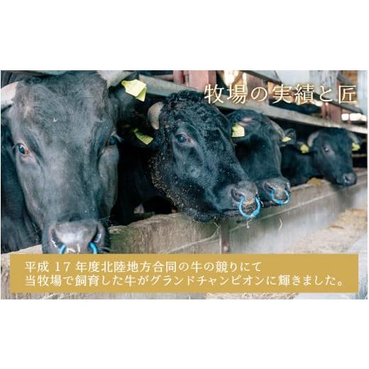 ふるさと納税 福井県 坂井市 若狭牛焼肉 カルビ食べ比べセット 計400g [B-1804]