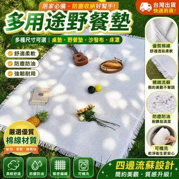 台灣現貨💓 法式文藝野餐墊 四邊流蘇 棉紗編織 戶外露營野餐布 桌布 沙發巾 膝蓋毯  兩尺寸可選