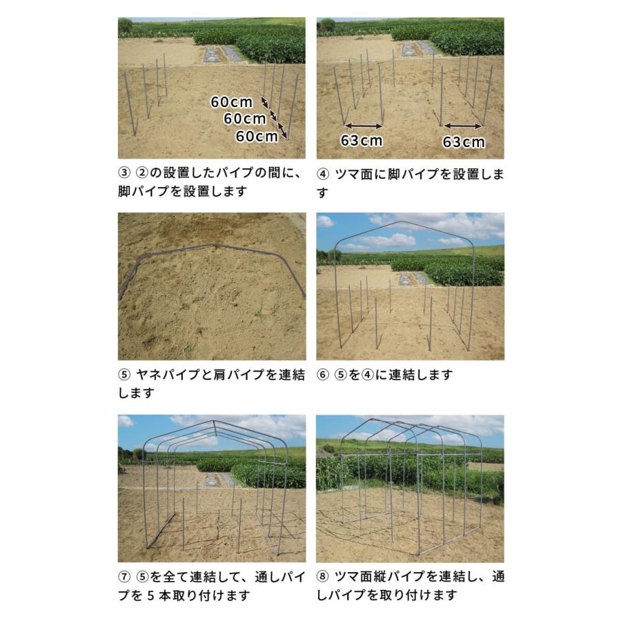 daim ダイムハウス ファスナータイプ 2坪用 替えビニール付き (間口2.2m 奥行き3.06m 高さ2.1m) ビニールハウス diy 小型 家庭用 家庭菜園 ビニール