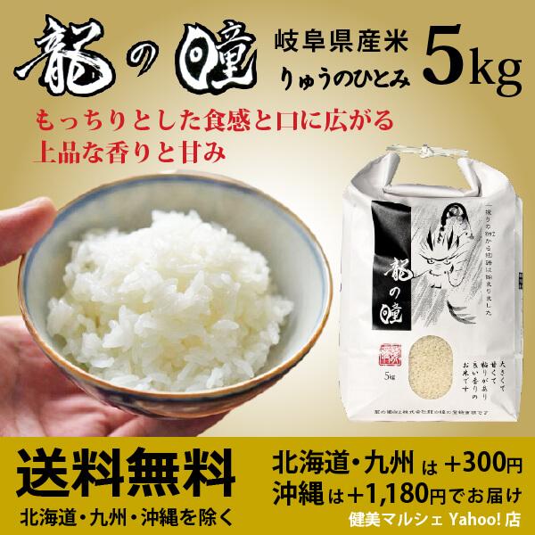 新米入荷 龍の瞳 5kg 令和5年産米 岐阜県産 白米  送料無料 一部地域除く