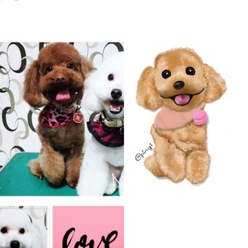 客製寵物貓狗畫像委託肖像畫毛孩似顏繪((貴賓/博美/馬爾濟斯