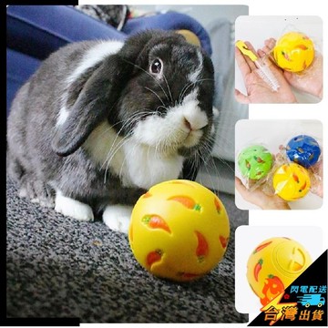 【台灣出貨】兔兔漏食球 兔子漏食玩具 倉鼠 松鼠 龍貓 豚鼠 解悶互動 自嗨磨牙益智球 小寵玩具 兔子遊戲球