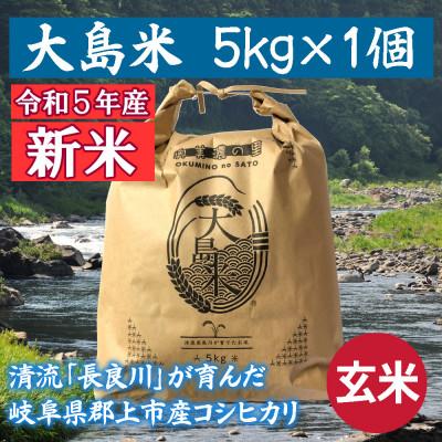 ふるさと納税 郡上市 「令和5年産 玄米」大島米 5kg 岐阜県郡上市産コシヒカリ