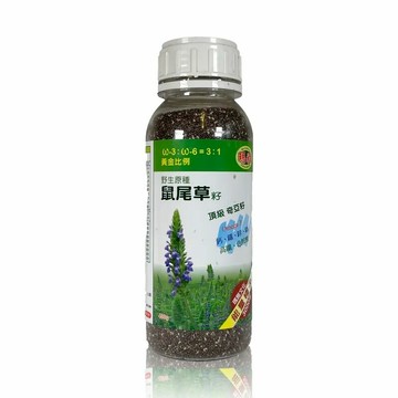 【亞積】野生鼠尾草籽 (430公克/罐) #頂級奇亞籽