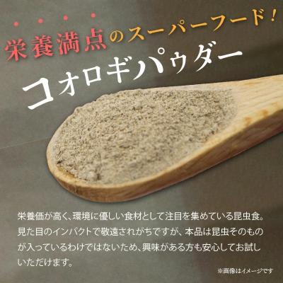 ふるさと納税 碧南市 昆虫食 コオロギパウダー アーモンドカシューナッツ　H059-107