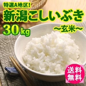 送料無料(北海道・九州・沖縄除く) 令和5年産 新米入荷 大人気！新潟県上越産こしいぶき（玄米）30kg