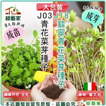 【綠藝家】大包裝J03.青花菜芽種子/J18.翡翠青花芽菜種子(青花椰菜芽、青花椰苗、1吋鮮 芽菜種子、青花芽