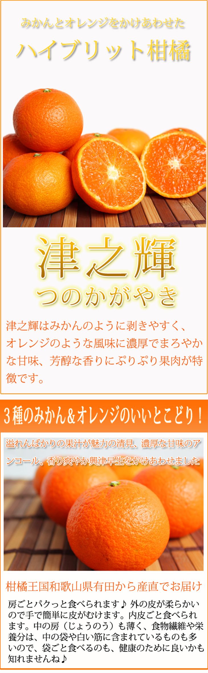 津之輝(つのかがやき) 5kg ※2024年2月上旬頃〜2月下旬頃に順次発送予定 ※着日指定不可