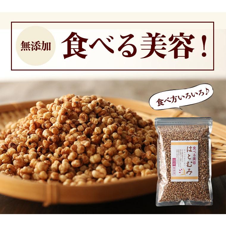 国産はとむぎ スナック 180g 2袋セット そのまま食べる お徳用 はと麦 ヨクイニン はとむぎの実 はとむみ 送料無料 スーパーフード 雑穀 シリアル