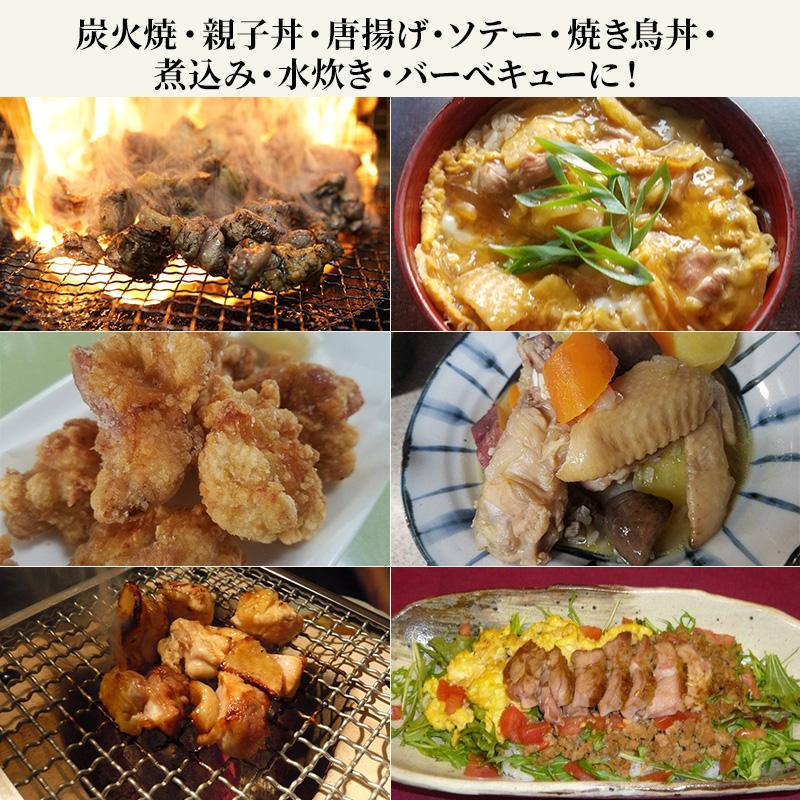 天草大王 熊本産 1羽セット モモ ムネ ササミ 手羽元 手羽先 各2枚 送料無料 お取りよせ 贈り物 ギフト 天草 地鶏 ご家庭用 お歳暮 お中元 敬老の日