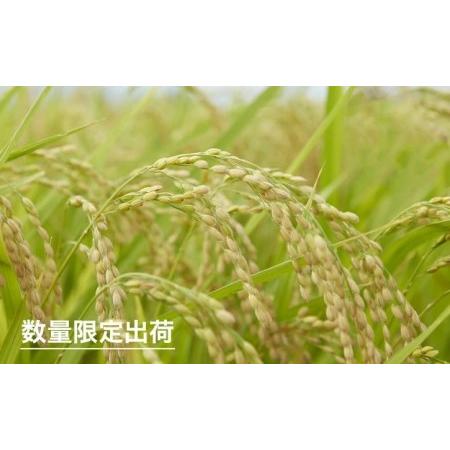 ふるさと納税 岩手県矢巾町　令和5年産　「ひとめぼれ精米」2合×5袋 岩手県矢巾町