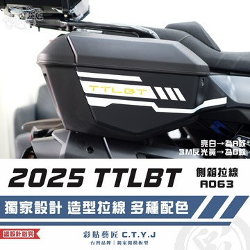 彩貼藝匠 2025 TTLBT 靈龜 側箱 拉線A063（一對）3M反光貼紙 ORACAL螢光貼 拉線設計 裝飾