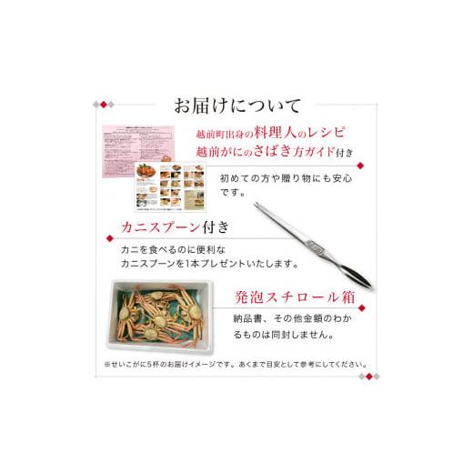 ふるさと納税 福井県 福井市  ボイル済 越前せいこ蟹／セコガニ（メス） 120〜150g×2杯 [A-088039]