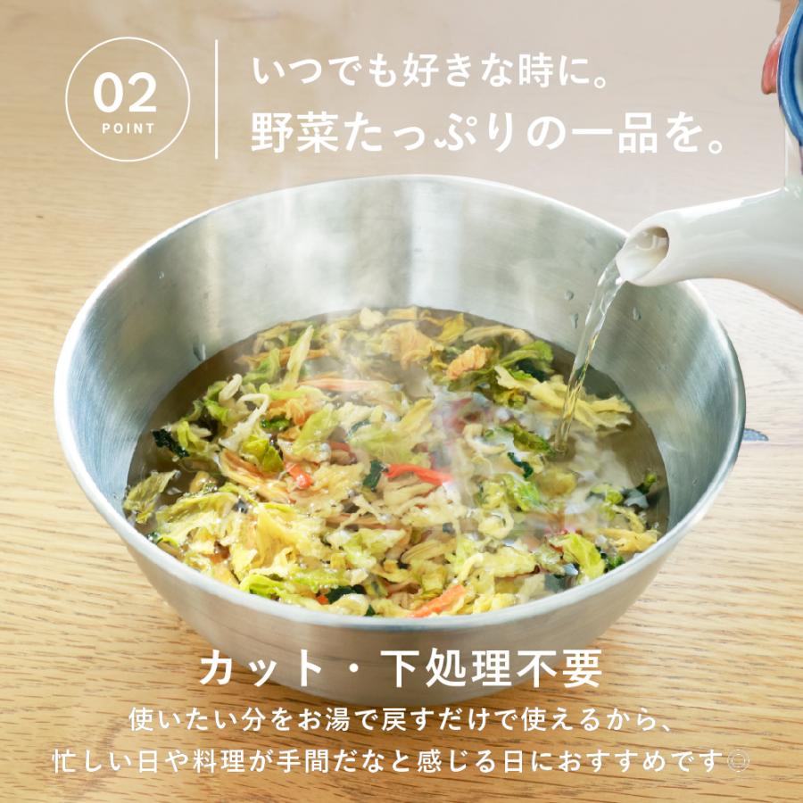 乾燥野菜 国産 DRYVEGETABLE 140ｇドライベジ ミックス 野菜 一人暮らし 常備菜 時短 味噌汁の具 キャベツ 白菜 小松菜 人参 大根 玉ねぎ