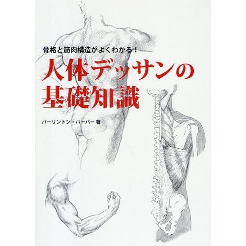 人体デッサンの基礎知識　骨格と筋肉構造がよくわかる!　LINEショッピング