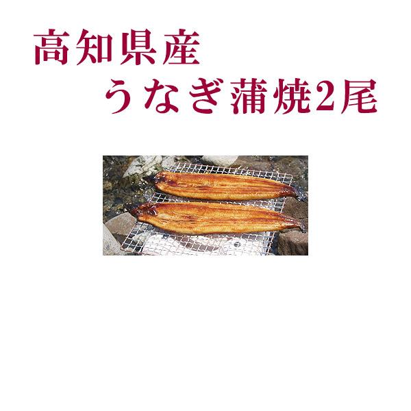 高知県産　うなぎ蒲焼　2尾  四万十 高知 冷凍 国産 無添加 ウナギ 鰻