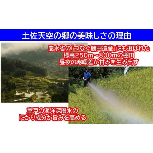 ふるさと納税 高知県 本山町 ★令和5年産★農林水産省の「つなぐ棚田遺産」に選ばれた棚田で育てられた棚田米　土佐天空の郷　ヒノヒカリ　10kg