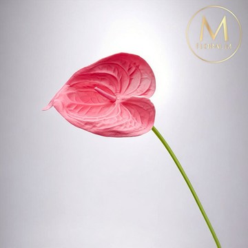 快速出貨🌷家居造景【Floral M】黛安娜心型火鶴甜心粉仿真花花材（2入組）