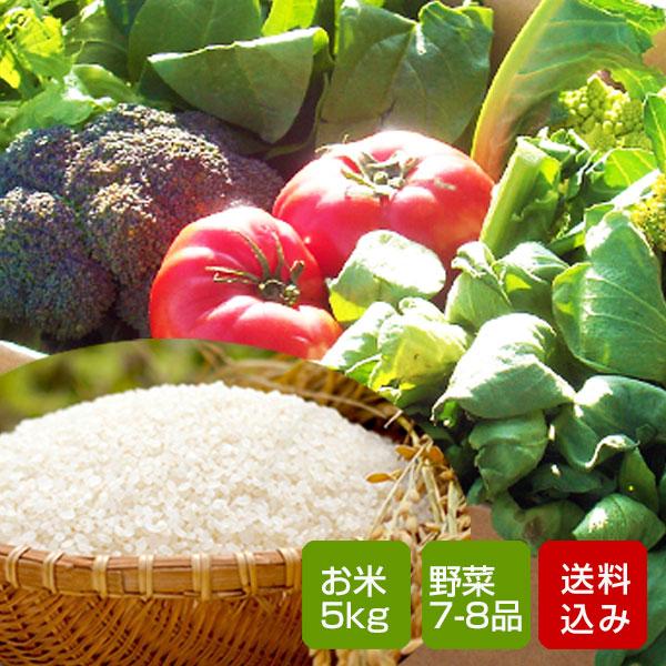 野菜とお米のセット 野菜詰め合わせ  野菜詰め合わせ 九州野菜 お取り寄せ グルメ